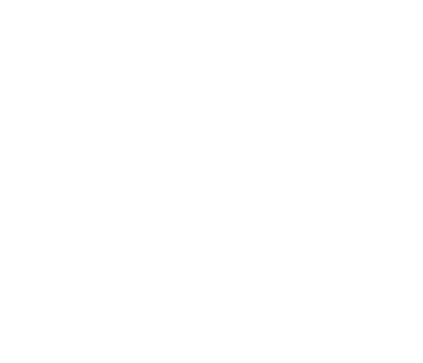 Life Empresarial